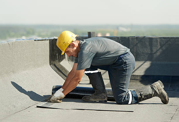 Best Cellulose Insulation in Angels, CA