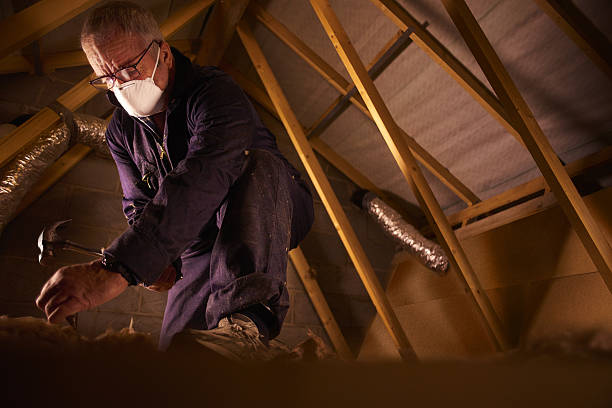 Types of Insulation We Offer in Angels, CA