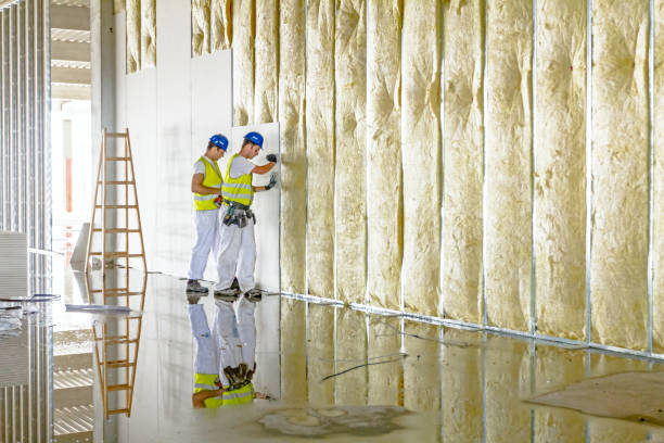 Best Spray Foam Insulation in Angels, CA